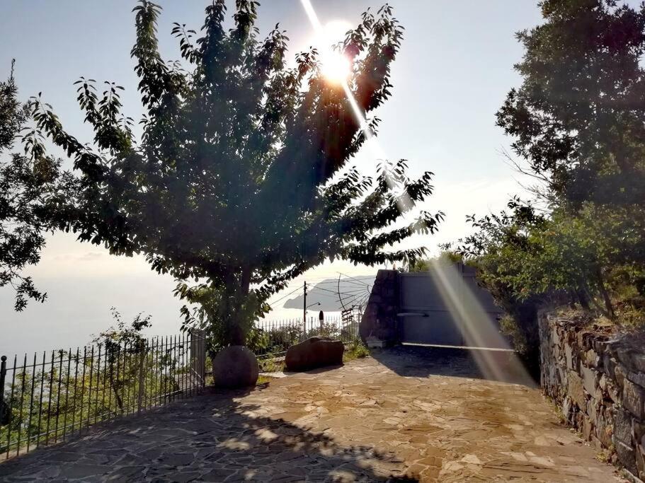 Nature&Sea Chalet Corniglia Kültér fotó