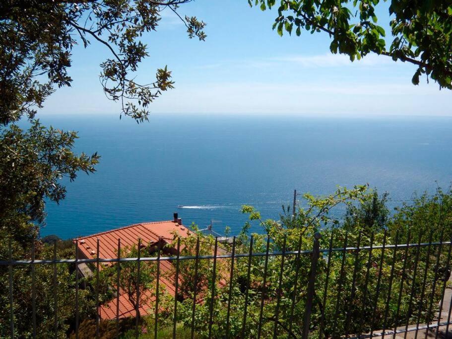 Nature&Sea Chalet Corniglia Kültér fotó